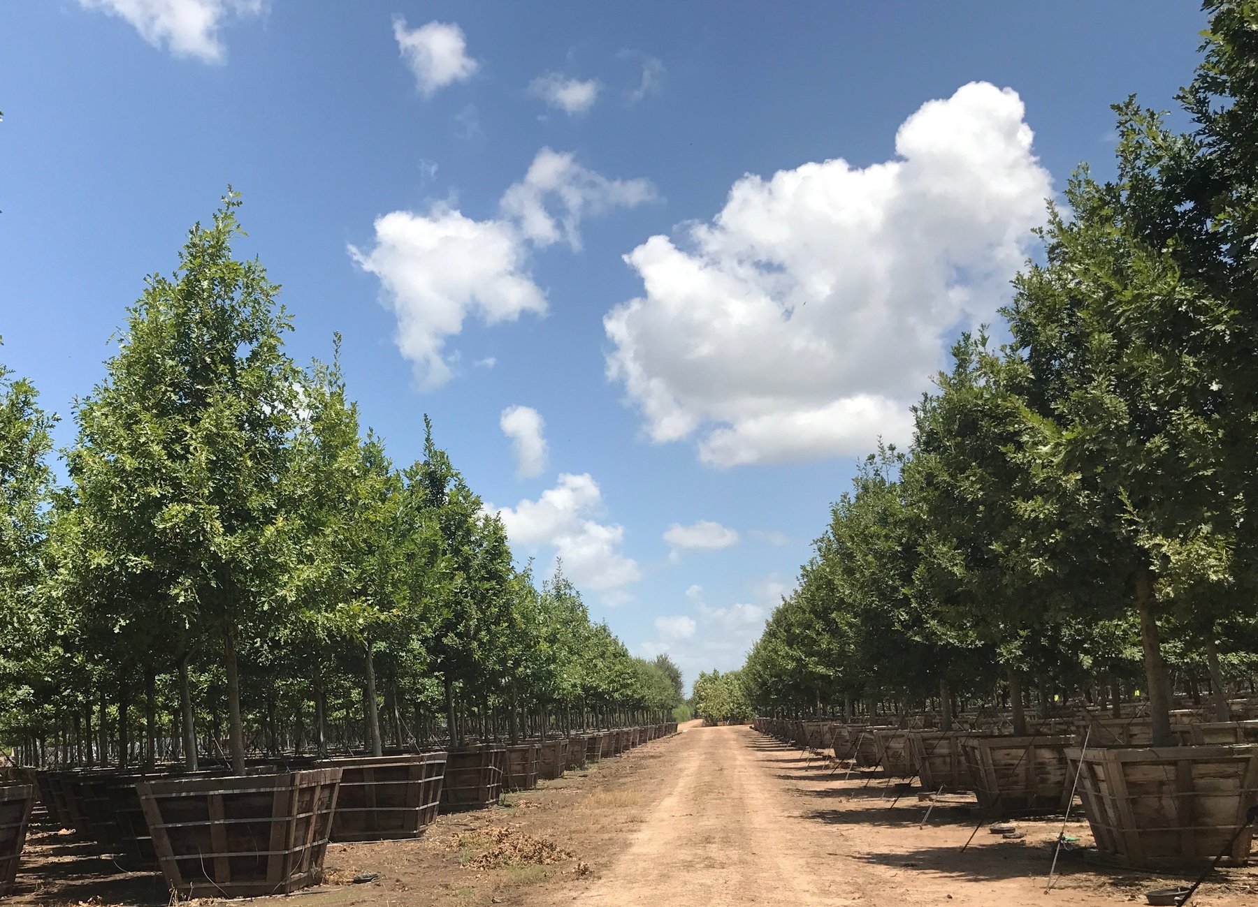 Get to Know Our Moon Valley Nurseries Farms